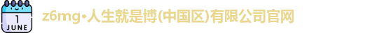 z6mg
